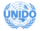 UNIDO job