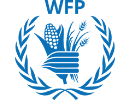 WFP job