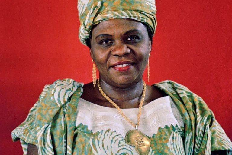 Gender equality and the UN General Assembly: Facts and history to know