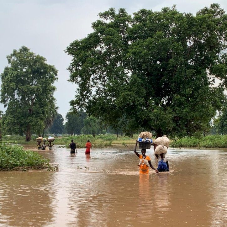 UNHCR: World must turn COP26 words into action for forcibly displaced and stateless people