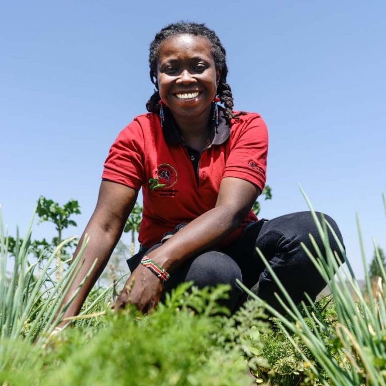 Developing agrometeorological information tools for Mali’s agricultural sector