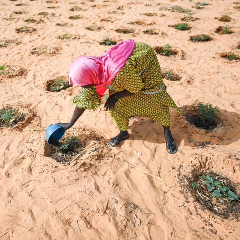 UN Warns Of Worsening Conflict And Displacement In Sahel Without ...