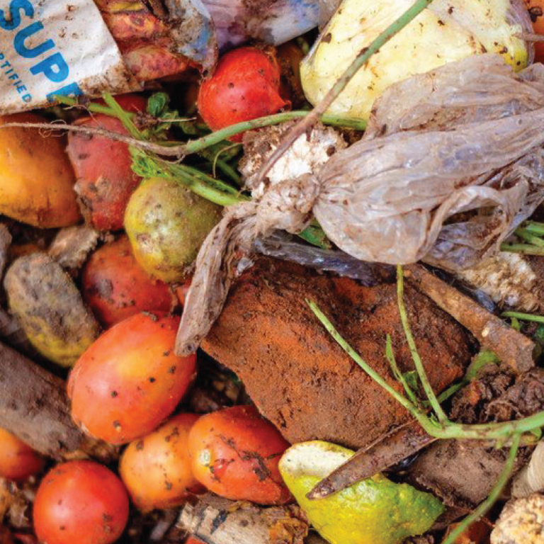 Food waste display featuring various rotten vegetables.