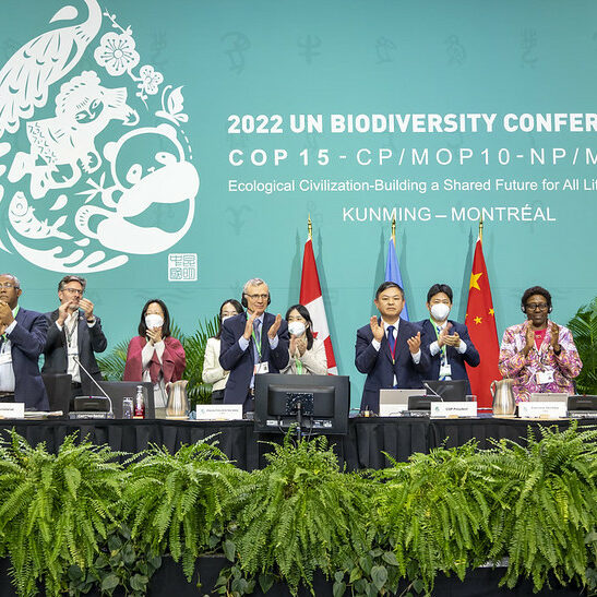 COP15 ends with landmark biodiversity agreement