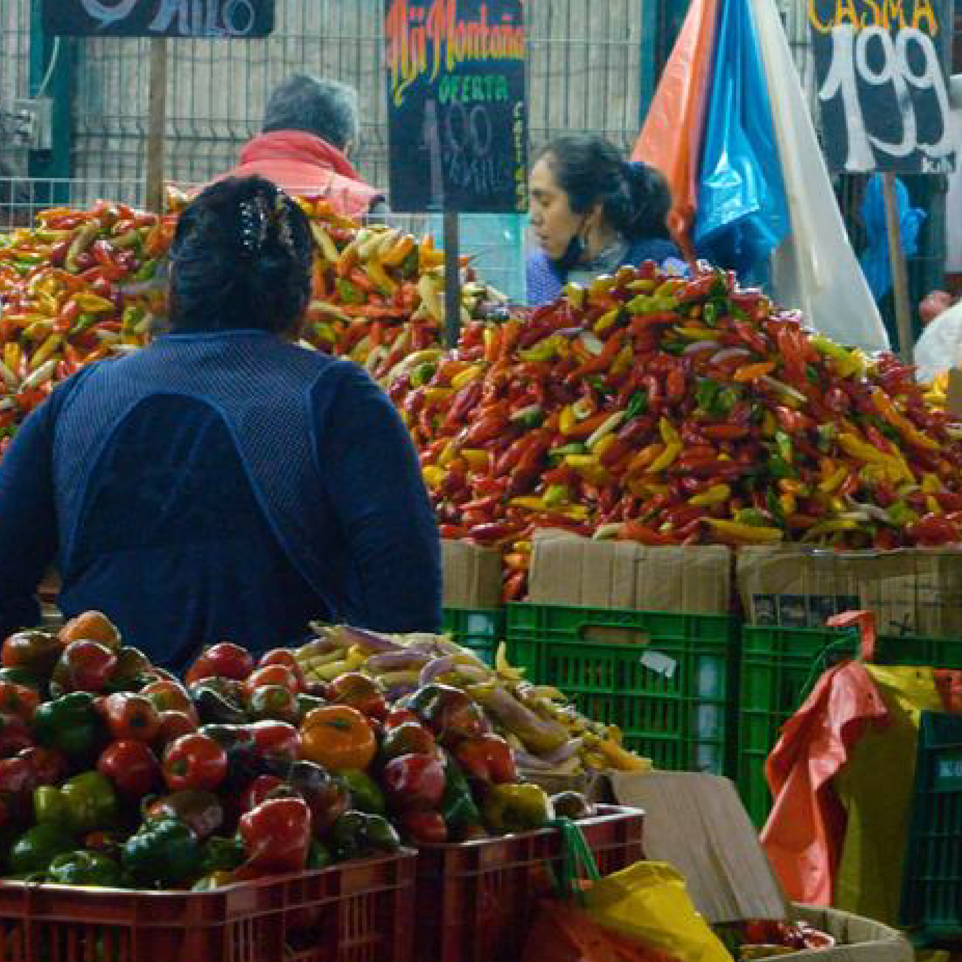 © Roberto Villanueva A Food Bank agent collects food at a wholesale market in Lima (mercado de mayoristas), Peru.