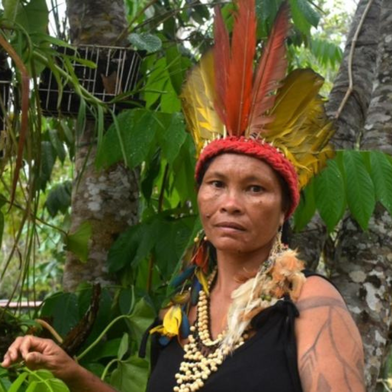Indigenous Day celebrates youth shaping a sustainable tomorrow - un.dk