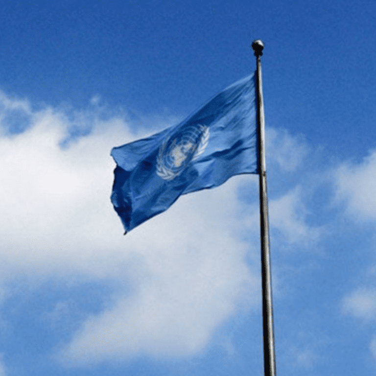 The UN Flag flies at the Organization's Headquarters, in New York.