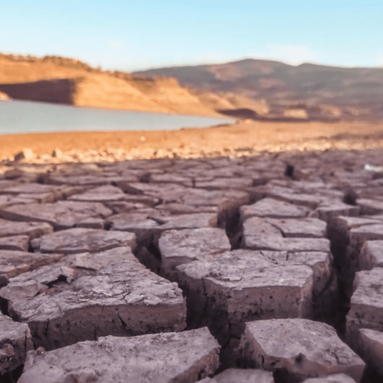 Climate change is contributing to drought conditions across the world.