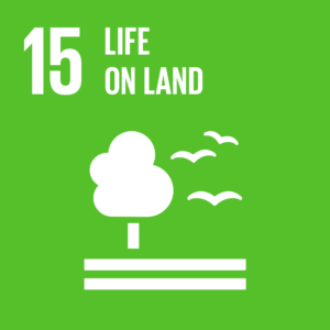 About United Nations - un.dk