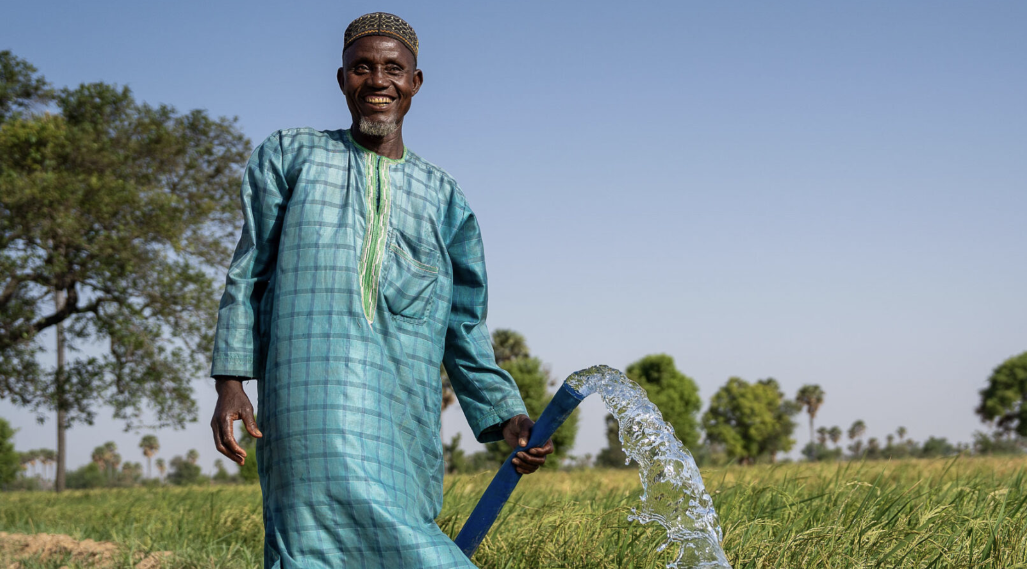 Promoting Food Security through Sustainable Agriculture