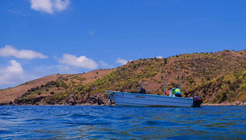 Restoring the Marine Environment  Across the Wider Caribbean