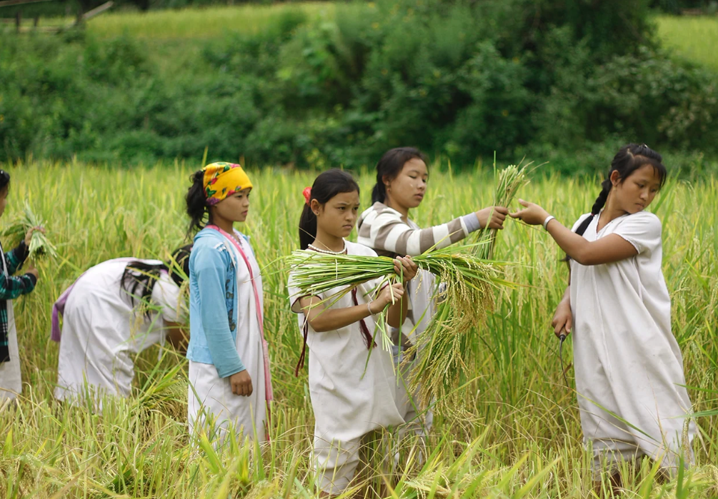 Healing People, Healing Nature: Local Pathways to a Global Peace